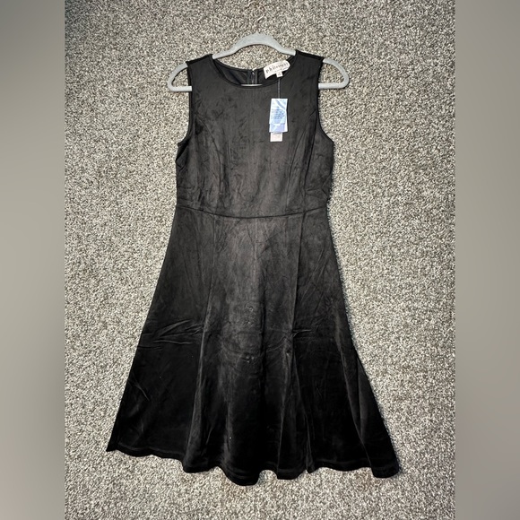 NWT Philosophy Faux Suede Fit & Flare Dress Size 4 - Picture 4 of 6